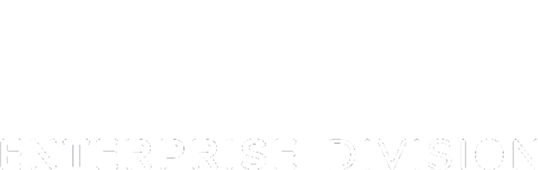 Link Enterprise Division